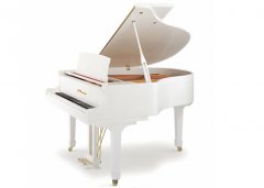 GP-170 VIENA 维也纳钢琴 世界名